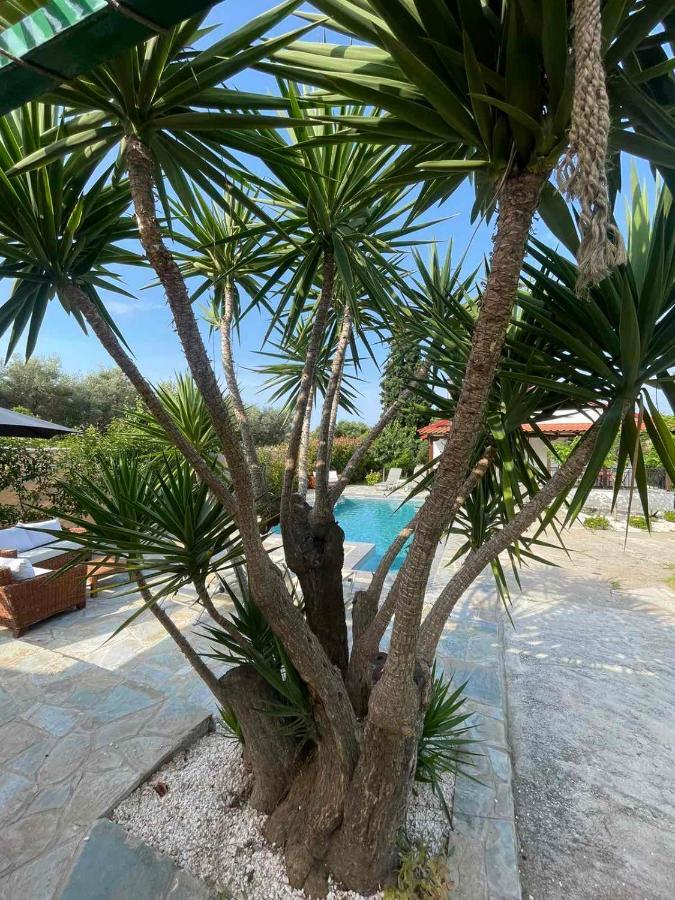 Vila Kalimera Private Pool Nea Poteidaia Buitenkant foto